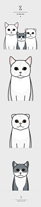 Cats in my house