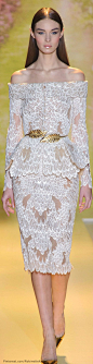 Zuhair Murad Haute Couture | S/S 2014 蕾丝 透视 羽毛图案