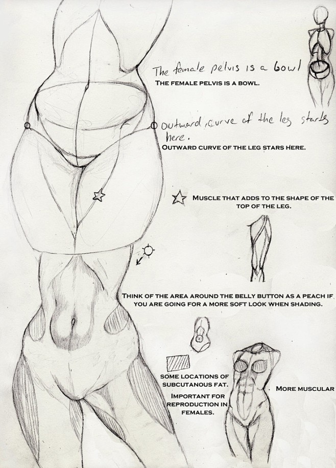 Skecchi Anatomy Tips...