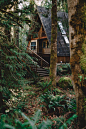 nature photography