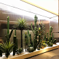 仿真仙人柱假绿植造景热带沙漠景观橱窗剑麻仙人掌植物盆栽装饰-淘宝网