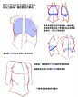 #SAI资源库#动漫女性胸部画法参考！绘师ほ～さく的一组关于女性胸部绘画参考，注意动作和胸围的影响，就能画出不僵硬的胸啦~自己收藏，转需~