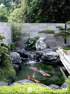 Mark39采集到庭院-水景鱼池
