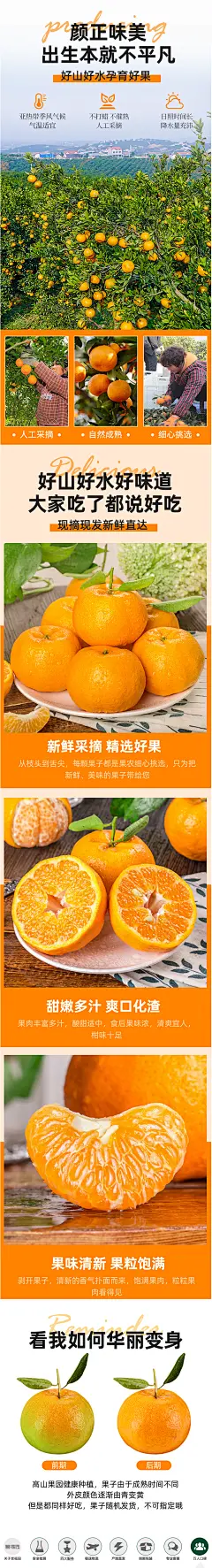 芭芭农场专用兑换品宜昌椪柑4斤-tmall.com天猫