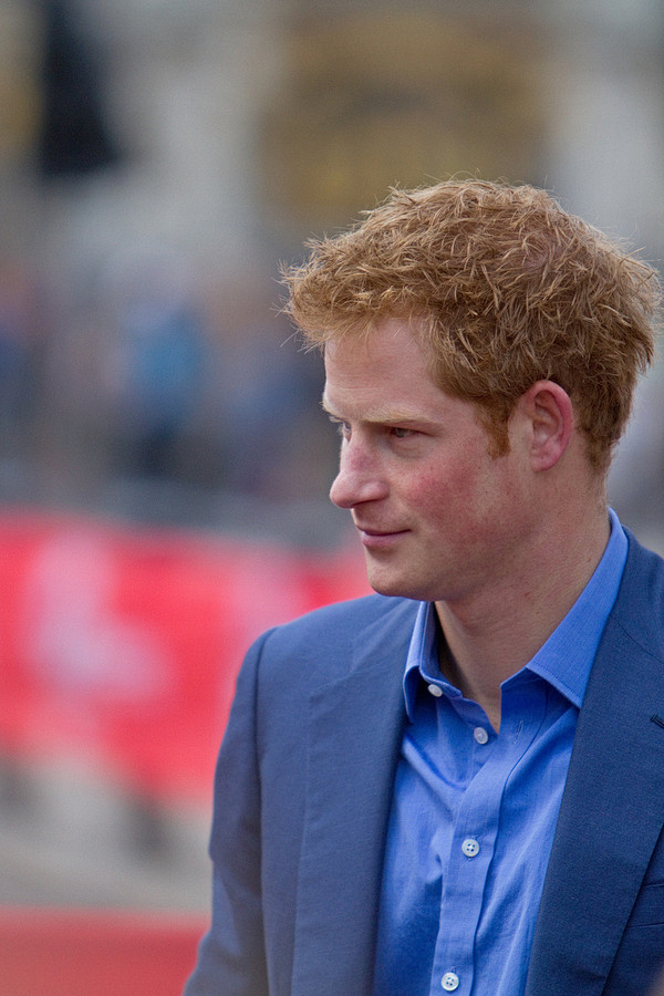 威尔士亨利王子殿下(hrh prince.