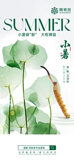 阿依舍品牌/冬虫夏草/节气海报/品宣海报/开机屏/小暑海报