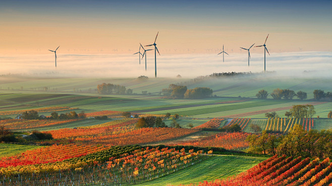 Wine Country Autumn ...