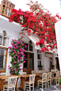 开一间美好的店，贩卖自己的梦想。<a class="text-meta meta-tag" href="/search/?q=装修">#装修#</a><a class="text-meta meta-tag" href="/search/?q=店铺">#店铺#</a><a class="text-meta meta-tag" href="/se