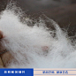 羽绒棉 洁白蓬松轻盈 厂家直销 羽绒服玩具枕芯填充棉 充棉机可直 _素材采下来 #率叶插件，让花瓣网更好用#