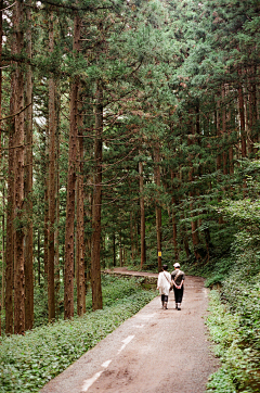 青稞╯采集到岁月静好