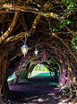 Yew Tree Tunnel, Aberglasney Gardens, Wales<br/>
