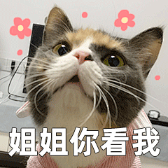 猫咪 怂 表情包05