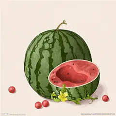 西瓜 西瓜手绘 西瓜插画 水果 水果插画