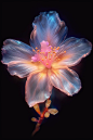 glowing pastel drawing of a super rare cherry blossom flower shaped fantasy gem, ultra bio hyperpigmentation, cinematic