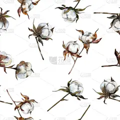 棉花花卉植物学花。水彩背景插图集。水彩画时尚水族馆隔离。无缝的背景模式。织物壁纸打印纹理.