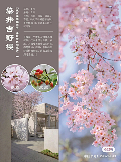 景观达达采集到绿化