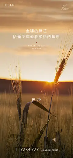 芒节气海报-设计素材-shejisc.cn