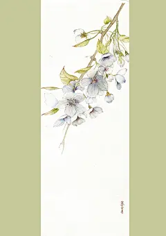 四季-焦茶青_水彩 手绘 插画_涂鸦王国插画