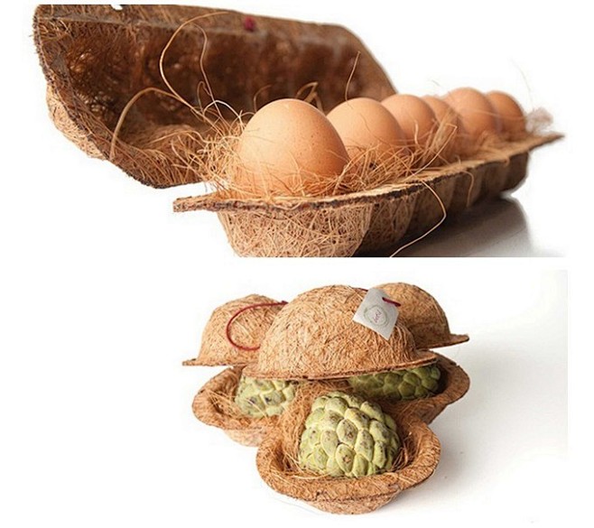 Botiá - Nests for Fo...