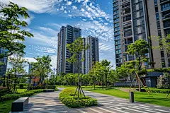 住宅区场地绿化模型图片