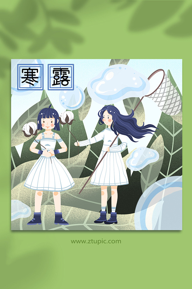 寒露插画