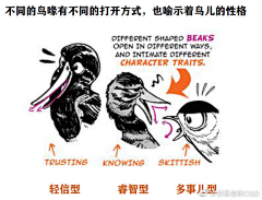 慕名dd采集到动物