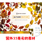 30 秋季枯枝树叶果实素材 PSD/PNG秋季平面设计广告设计素材-淘宝网