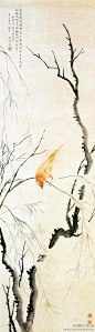 
花鸟画【 清 金礼赢 《杨柳鸣禽图》】立轴，纸本设色，103.7×31.3cm，上海博物馆藏。 作品中的柳树一枝已枯干，另一枝却柳条柔细，柳叶萧萧。以水墨写出树干，间用侧锋，枯枝用焦墨，而生枝却淡墨细写，柔嫩飘逸，柳叶以淡彩点写，似飘舞晨雾之中。鸣禽设色鲜艳，用笔精确，羽毛富有层次。




