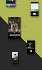 Kulture app on Behance