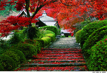 MY油画风景1000-1