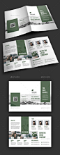 bifold mockup.jpg (590×1508)
