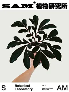 巫蛊百合| Amorphophallus Atroviridis. - 小红书