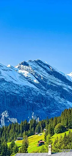背景、壁纸、风景、卡通、ins、唯美
