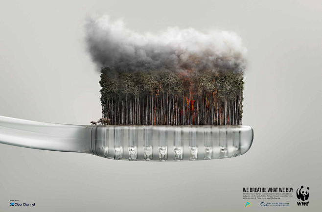 WWF Haze Campaign on...