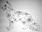 狗狗插画系列图集丨几何动物插画iPad临摹作品案例
