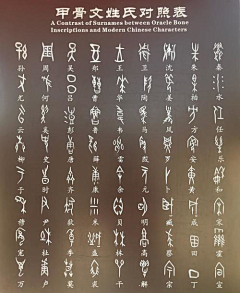 南呜阿弥陀佛采集到元素