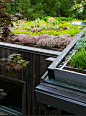 Green roof