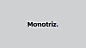 Monotriz : Monotriz. A brand that goes beyond the digital media. A brand that embodies the interactivity.Ambition: Monotriz is a digital agency focused on creating experiences that goes beyond the conventional platforms. Their creative process seeks for t