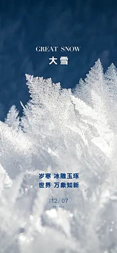 二十四节气大雪海报展板