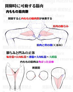 呱呱和蜗蜗采集到身体结构