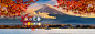 日本 | 百威旅遊 : 瘋玩日本不受限，東北北海道、關東、北陸立山、九州、關西四國、沖繩，春櫻、樂園、秋楓、冬雪，四季精彩。 | 百威旅遊