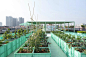 屋顶共建花园“南园绿云”：低碳社造空间新模式 / 一十一建筑 – mooool木藕设计网