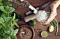 hands preparing mojito cocktail by Luis Mario Hernandez Aldana on 500px