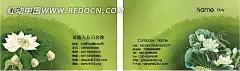 绿色调手绘白荷花名片设计白荷花|公司名片|卡片|绿色调|名片|名片背景|名片模板|名片设计|名片素材|模板|企业名片|商务名片|矢量设计|矢量设计模板|手绘|中国风设计