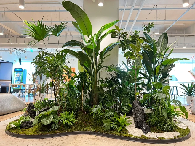 绿植软装｜植物造景｜室内植物｜苔藓绿植-花瓣网