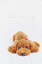 01d53a572993ff6ac7253812c11adf.jpg@900w_1l_2o_100sh