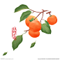 手绘柿子