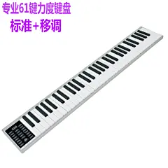 科汇兴便携式钢琴键盘专业版成人练习移动随身电子钢琴初学者入门-tmall.com天猫