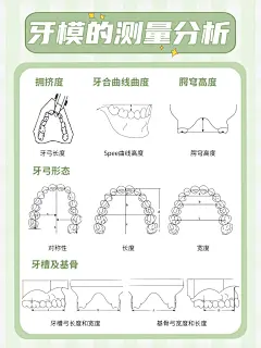 牙模的测量分析