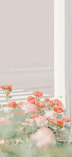 秒赞壁纸 未来7天你... - @壁纸的微博 - 微博